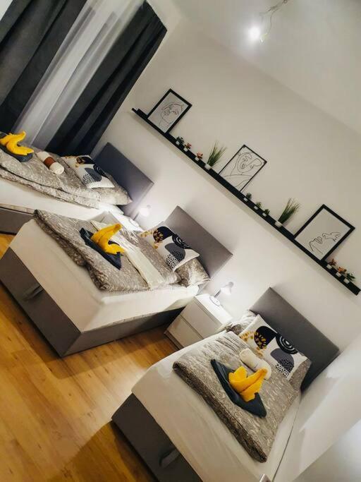 Leon 3 Wunderschoenes Neues Apartment Linz Dış mekan fotoğraf